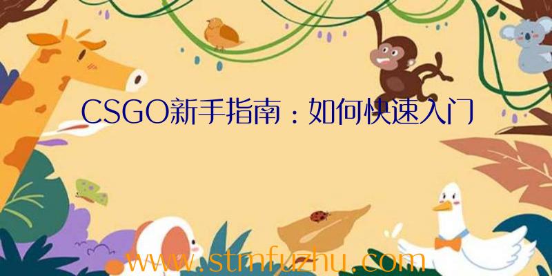 CSGO新手指南：如何快速入门