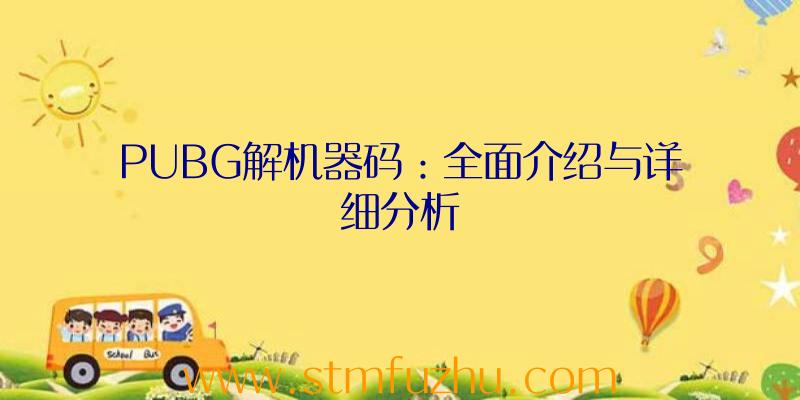 PUBG解机器码：全面介绍与详细分析