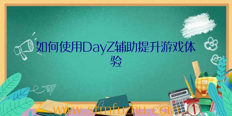 如何使用DayZ辅助提升游戏体验