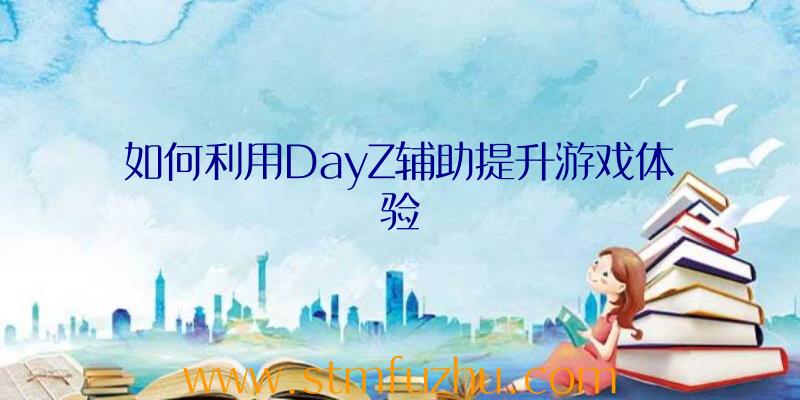 如何利用DayZ辅助提升游戏体验