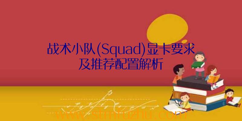 战术小队(Squad)显卡要求及推荐配置解析