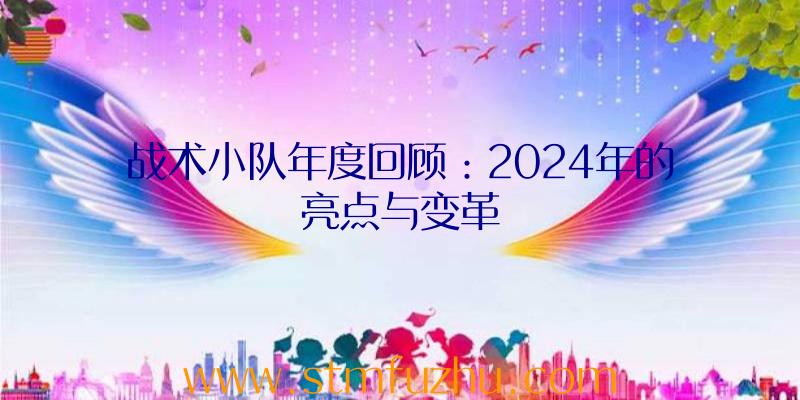 战术小队年度回顾：2024年的亮点与变革