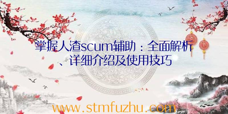 掌握人渣scum辅助：全面解析、详细介绍及使用技巧