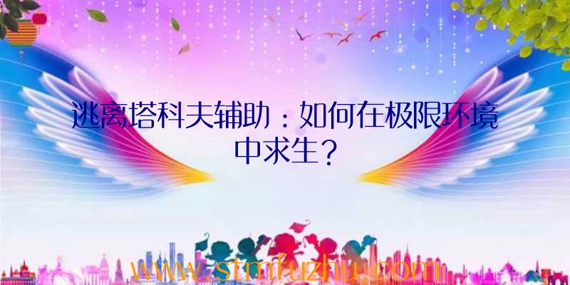 逃离塔科夫辅助：如何在极限环境中求生？